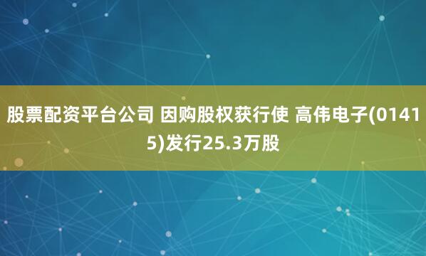 股票配资平台公司 因购股权获行使 高伟电子(01415)发行25.3万股